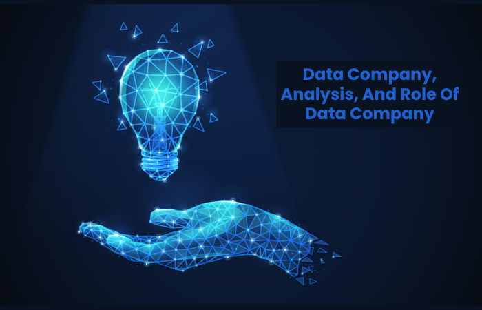 Data Company, Analysis, And Role Of Data Company