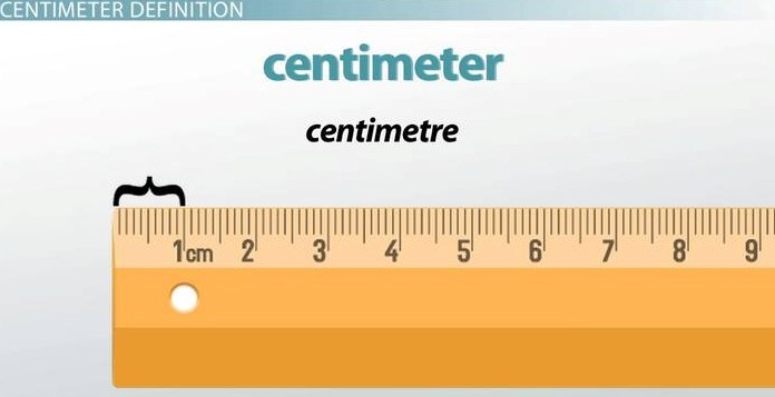  56 cm to inches definition