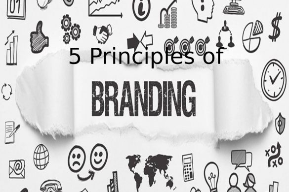 5 Principles of Branding for Professional Service Firms