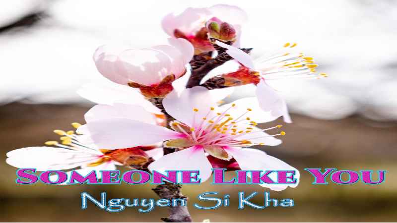 Invisible Technology Nguyen Si Kha • Someone Like You • 2022