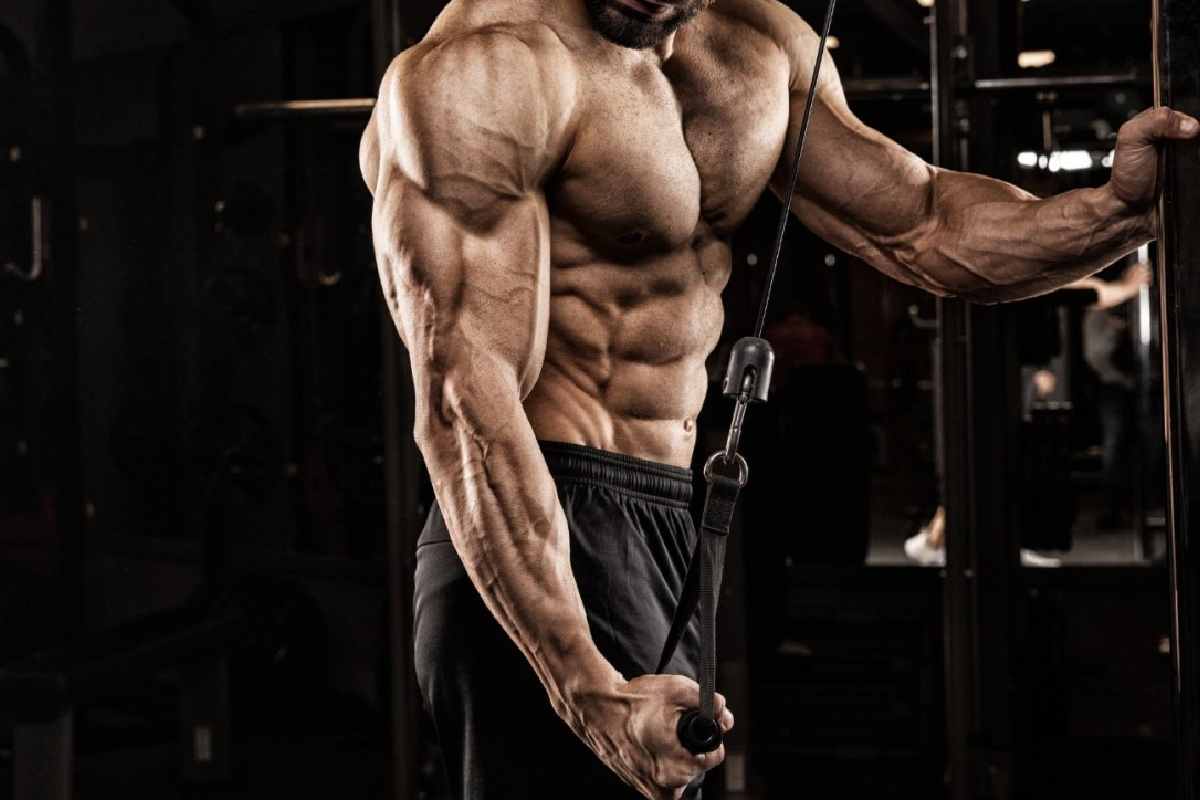 Why Are Triceps Important?