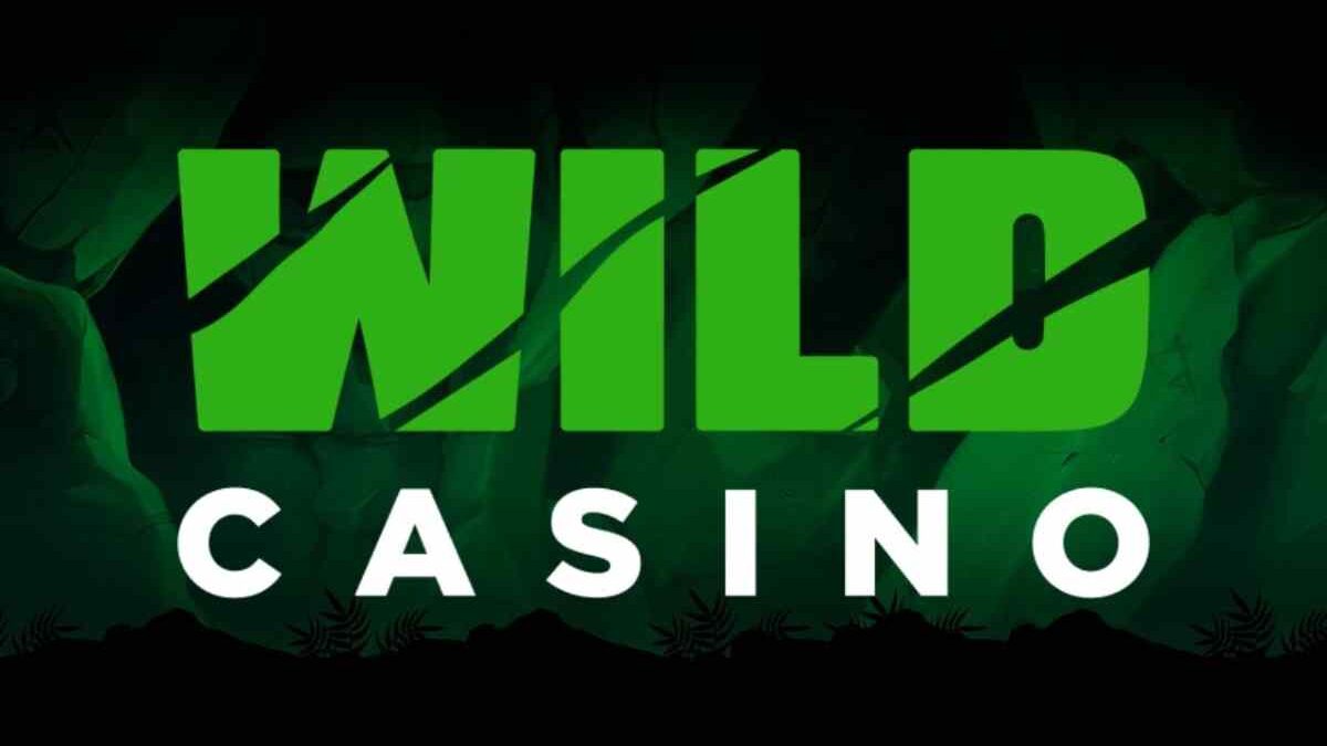 Wild Casino 2022 | Attractive Bonuses And Promotions